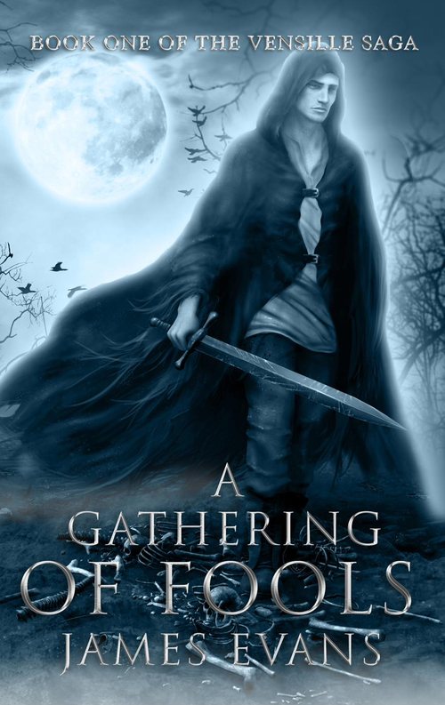 A Gathering of Fools — Vensille Saga